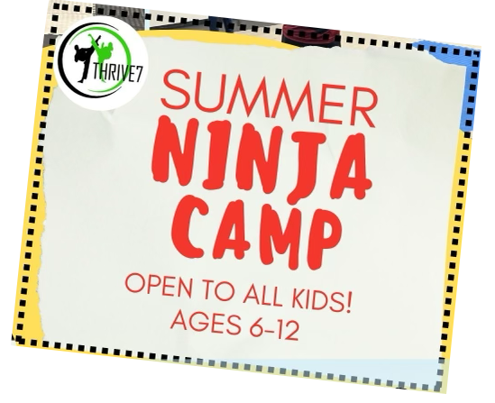 ninja-summer-camp