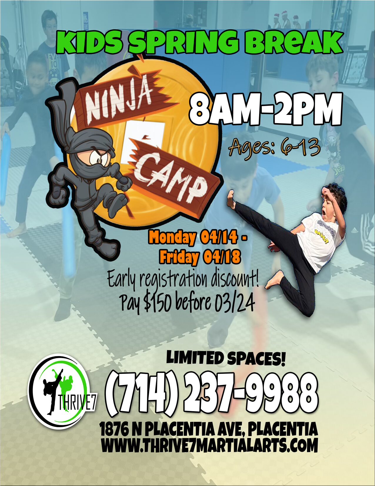 Kids Spring Ninja Camp!  Placentia - Yorba linda